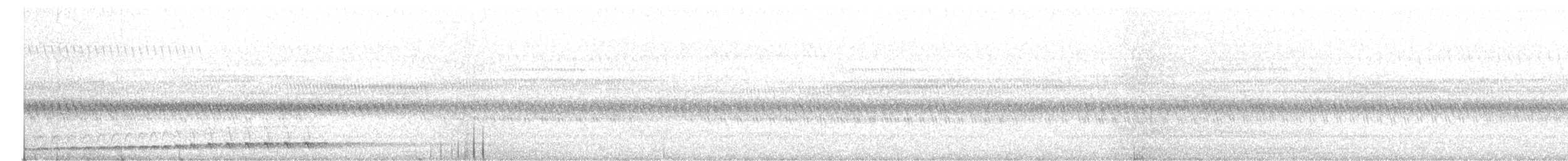 Chotacabras Bigotudo - ML645933960