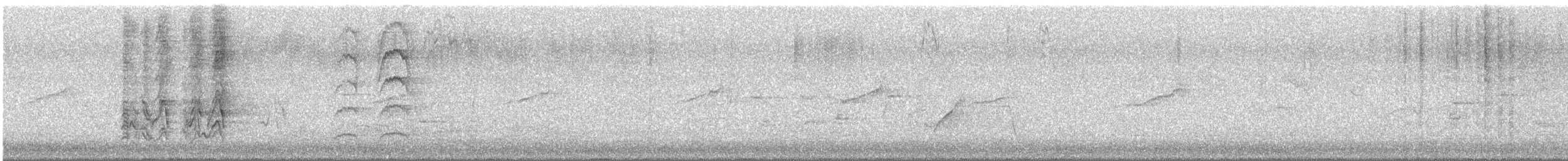 White-bellied Cuckooshrike - ML645934066