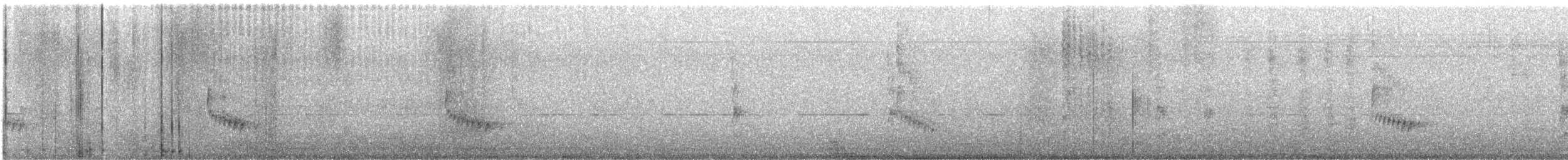 Carolina Wren - ML645934133