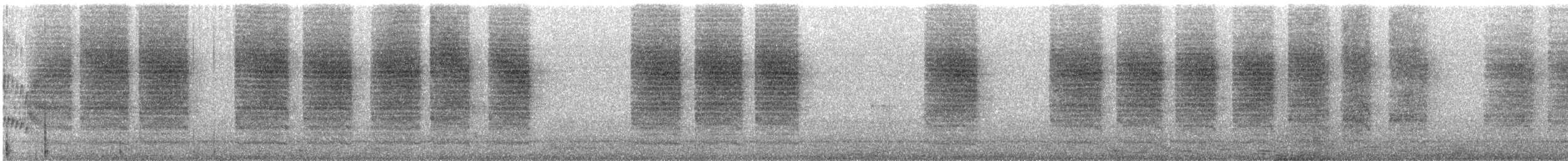 Carolina Wren - ML645934141