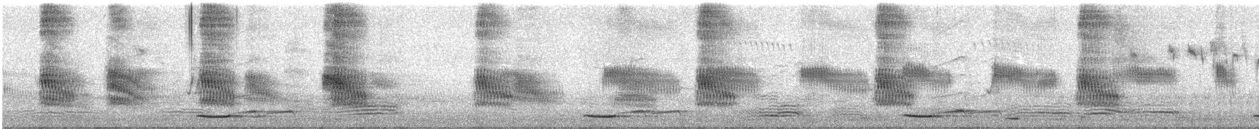 European Starling - ML645934229