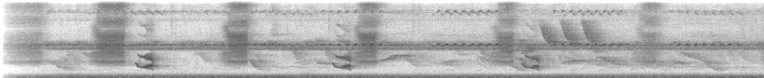 drozd hnědavý - ML645935126