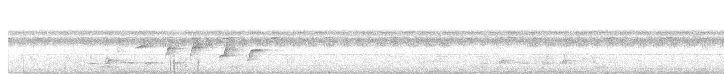 Malaysian Pied-Fantail - ML645935215