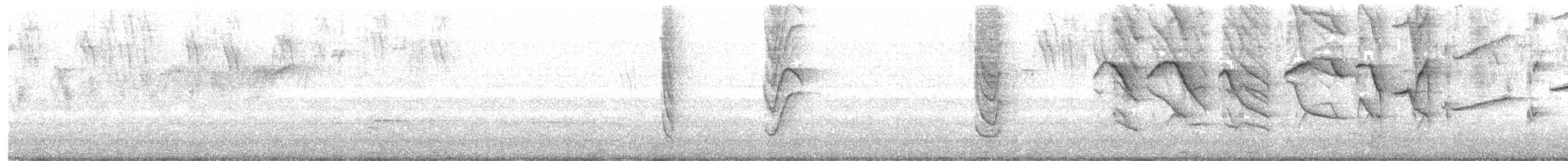 Blue-gray Tanager - ML645935326