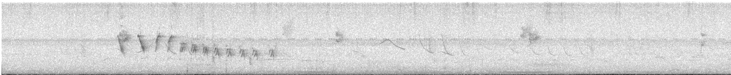 Paruline voilée - ML645935552