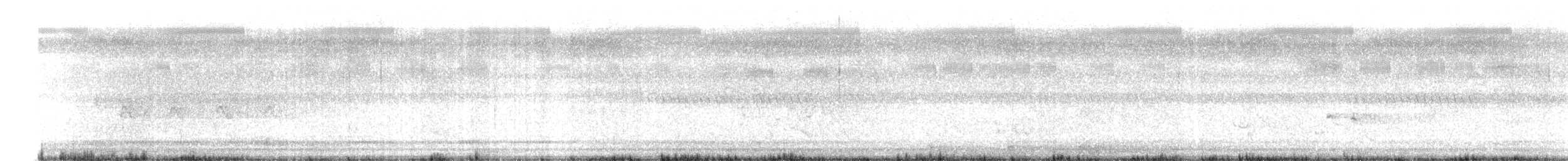 White-cheeked Barbet - ML645935591