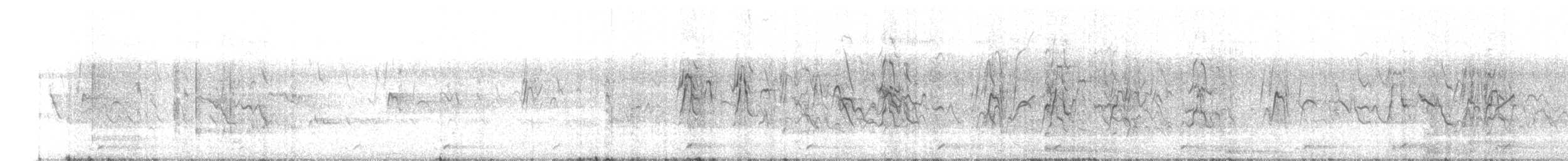 樹鴨 - ML645935608