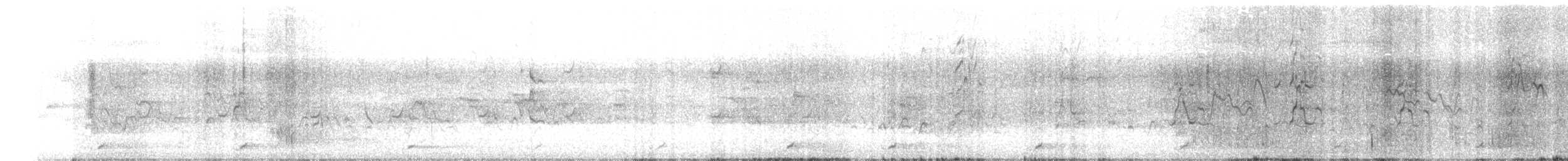 Al Göğüslü Barbet - ML645935665