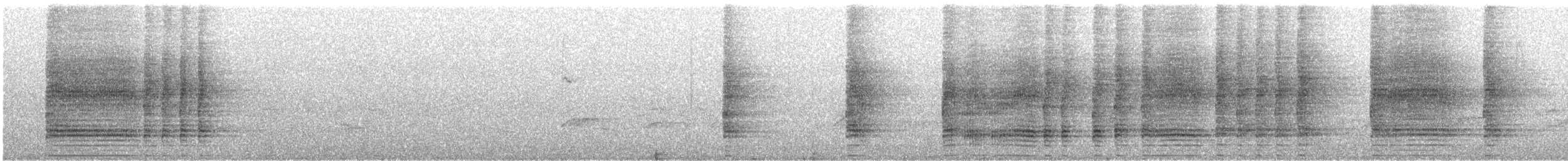 普通珠雞 - ML645935679