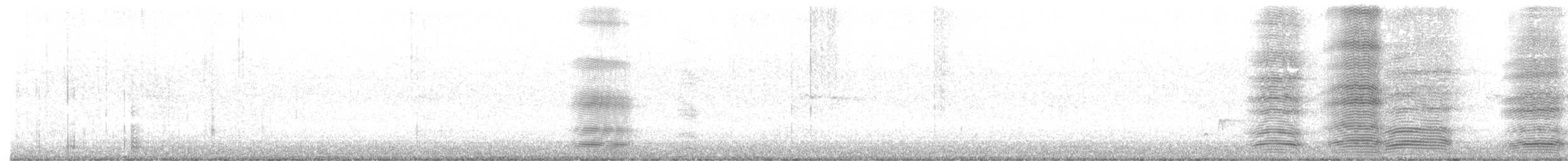 Australian Raven - ML645935979