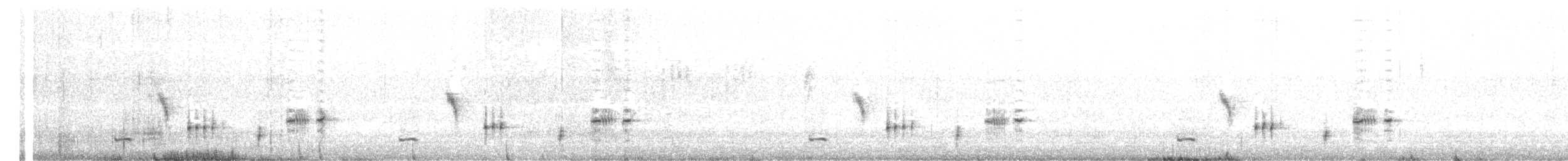 Western Whipbird (Black-throated) - ML645936076