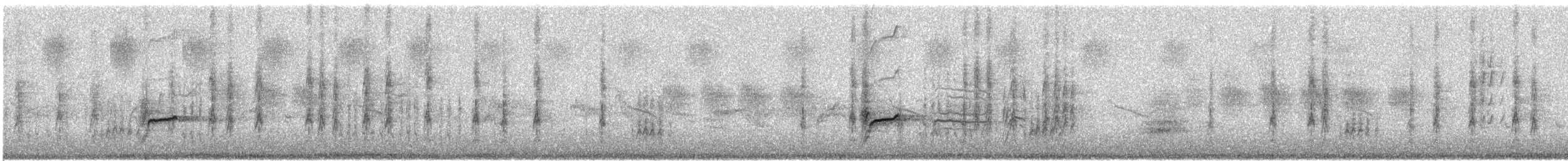 Cape Sugarbird - ML645936109