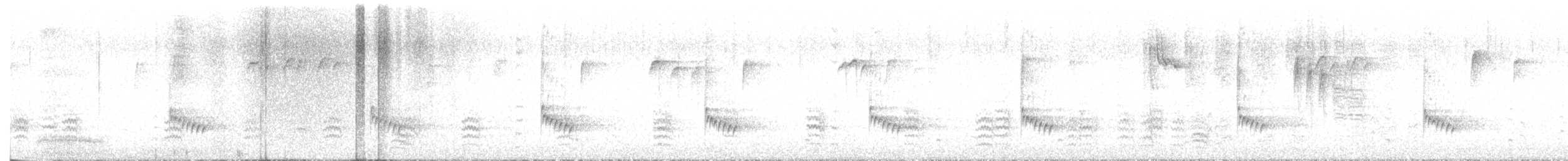 Carolina Wren - ML645936128