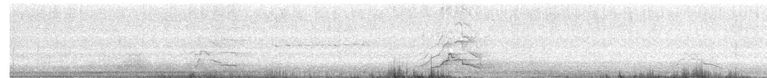 Carnaby's Black-Cockatoo - ML645936140