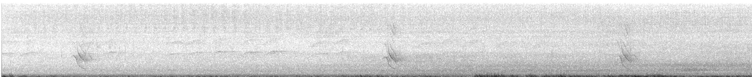 Australasian Figbird - ML645936942