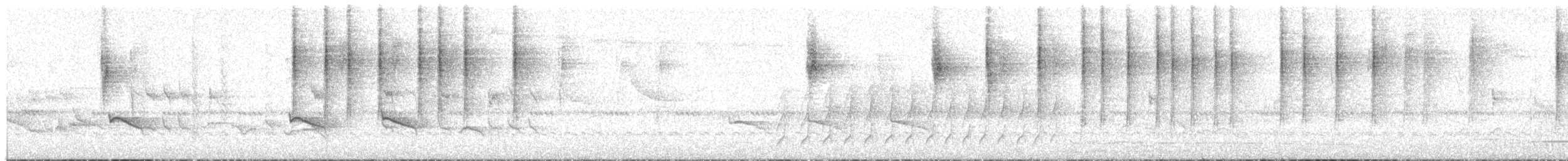 Black-and-white Warbler - ML645938015