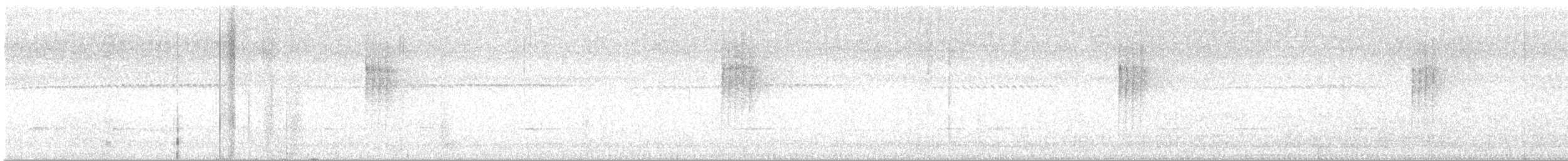 Gray-bellied Tesia - ML645938100