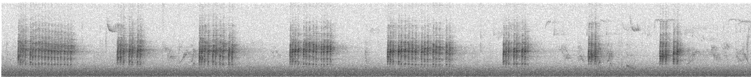 Carolina Wren - ML645938182