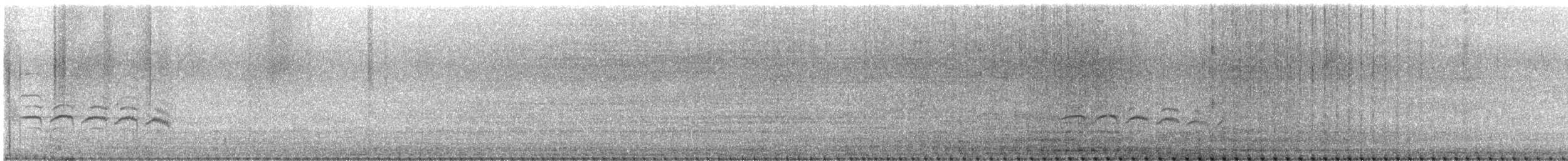 Hegaztia sp. - ML645938734