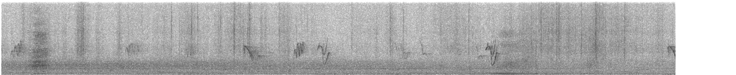 Ostruka arrunta - ML645938838