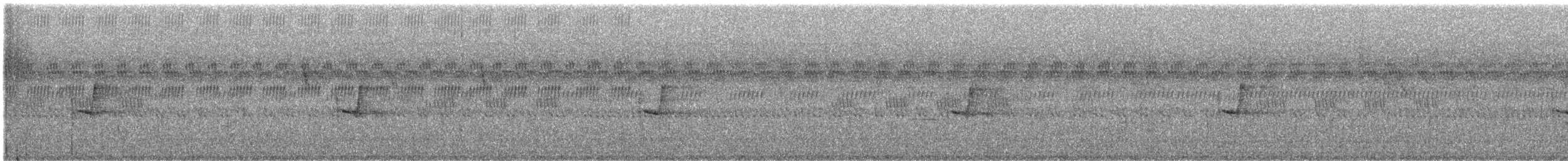 Hegaztia sp. - ML645939020