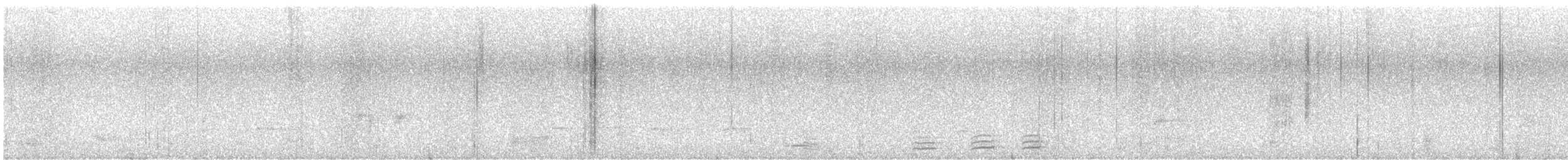 Hegaztia sp. - ML645939251