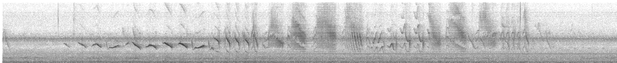 Braunbauchspelzer - ML645940186