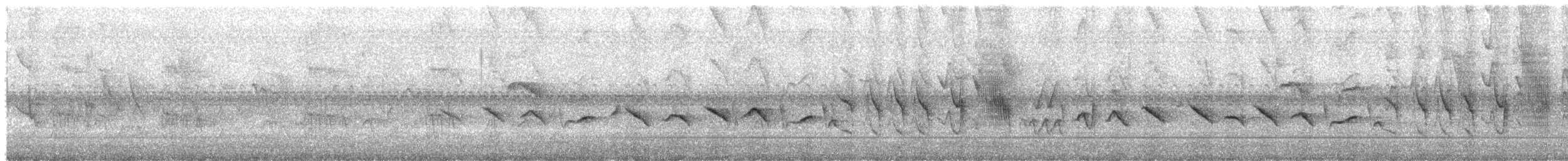 Braunbauchspelzer - ML645940201