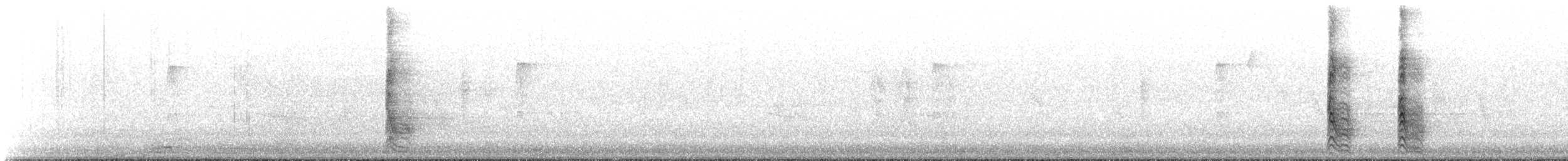 Carolinaspecht - ML645940237