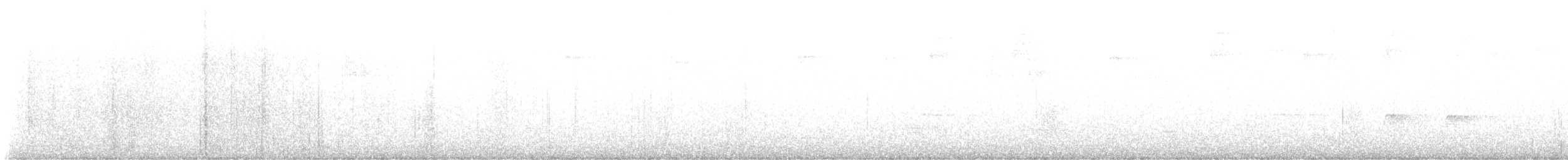 Trauerschnäppertyrann - ML645940401