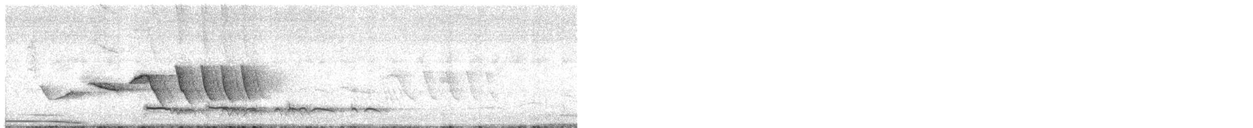 Fleckmantel-Faulvogel (maculatus) - ML645940483