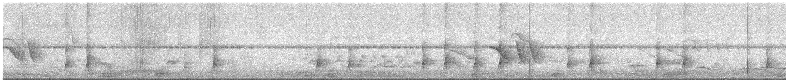 Braunschopftyrann - ML645940506