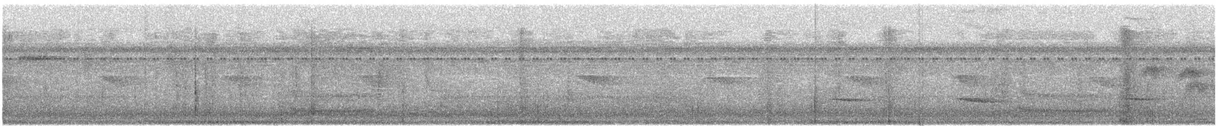 Graukehl-Krummschnabeltyrann - ML645940515