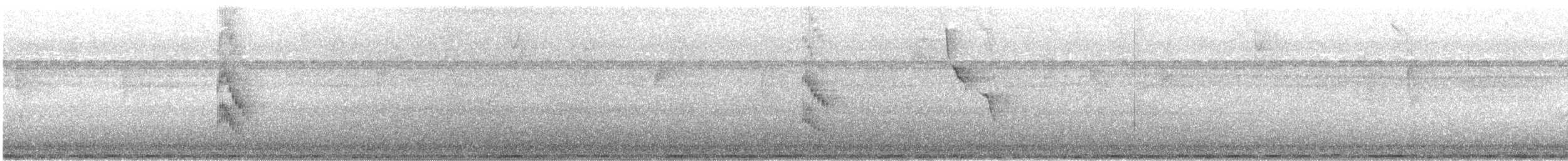 Weißbandpipra - ML645940652