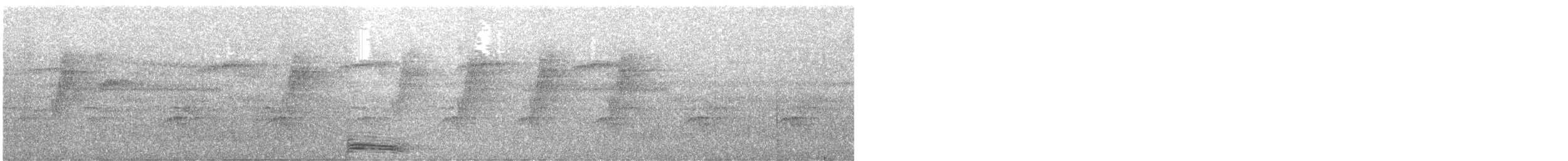 Broad-billed Motmot - ML645940994