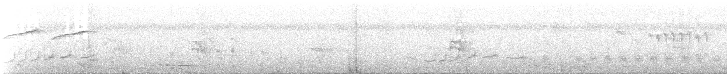 Sri Lanka Woodshrike - ML645941881