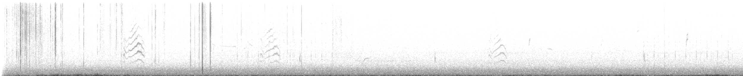 Зелёнохвостый тохи - ML645943232