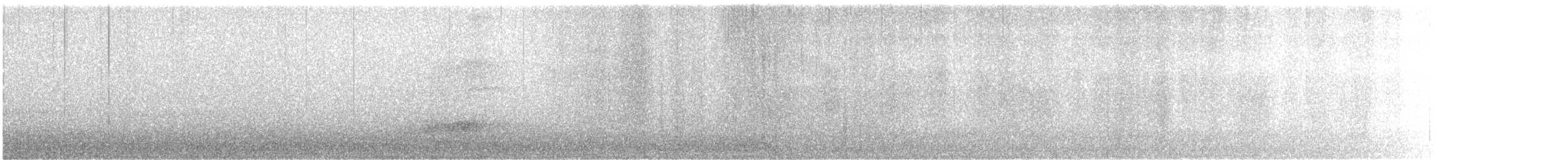 American Barn Owl - ML645943317