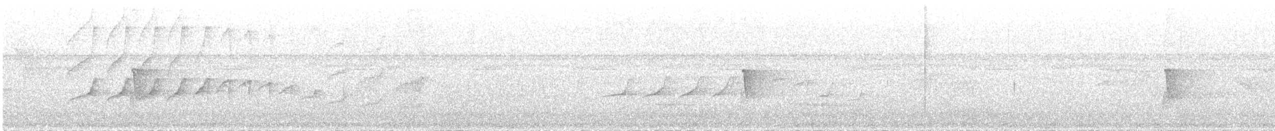 Bicolored Antbird - ML645944167