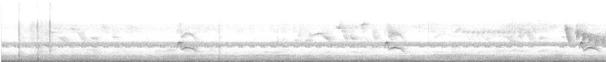 Короткоклювая эления - ML645944669