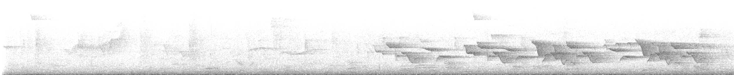 Dot-winged Antwren - ML645944963