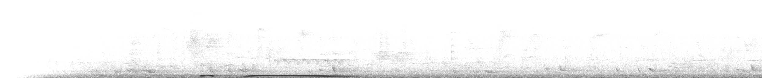 Torresian Imperial-Pigeon - ML645946119