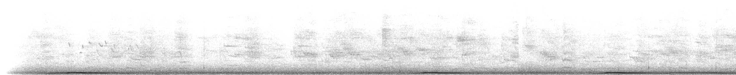 Torresian Imperial-Pigeon - ML645946238