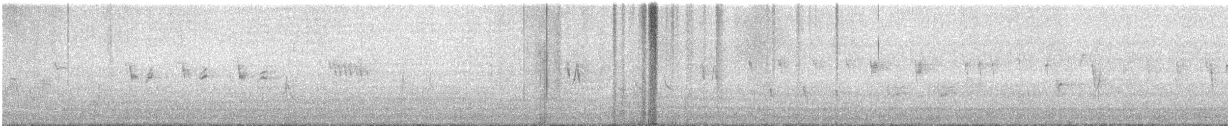 Пронурок біловолий - ML645946393