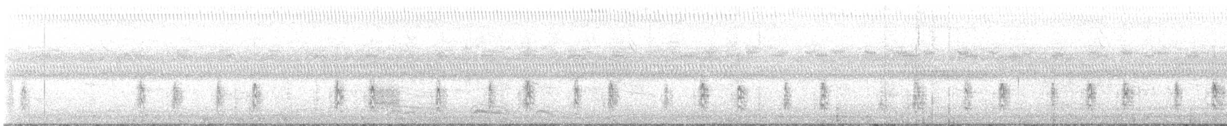 Wilsonbekassine - ML645946482