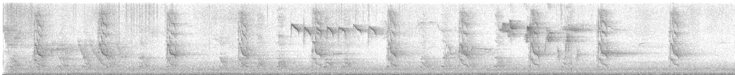 Rose-ringed Parakeet - ML645946659