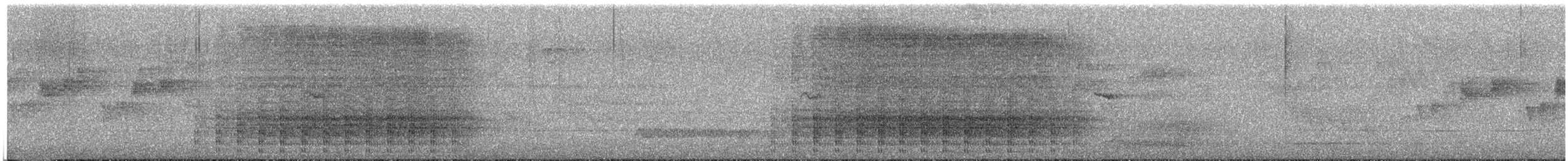 Golden Bowerbird - ML645947006