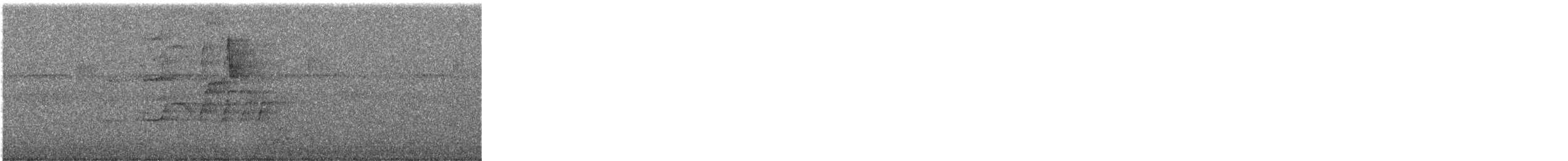 Black-bellied Whistling-Duck - ML645947258