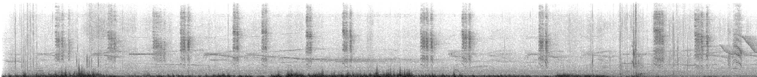Austral Blackbird - ML645947490