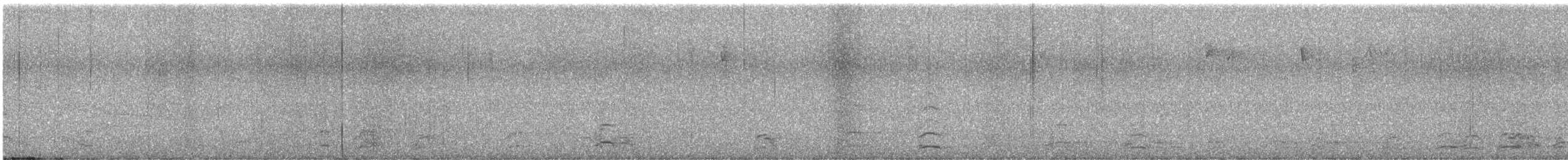 Snow Goose - ML645947695